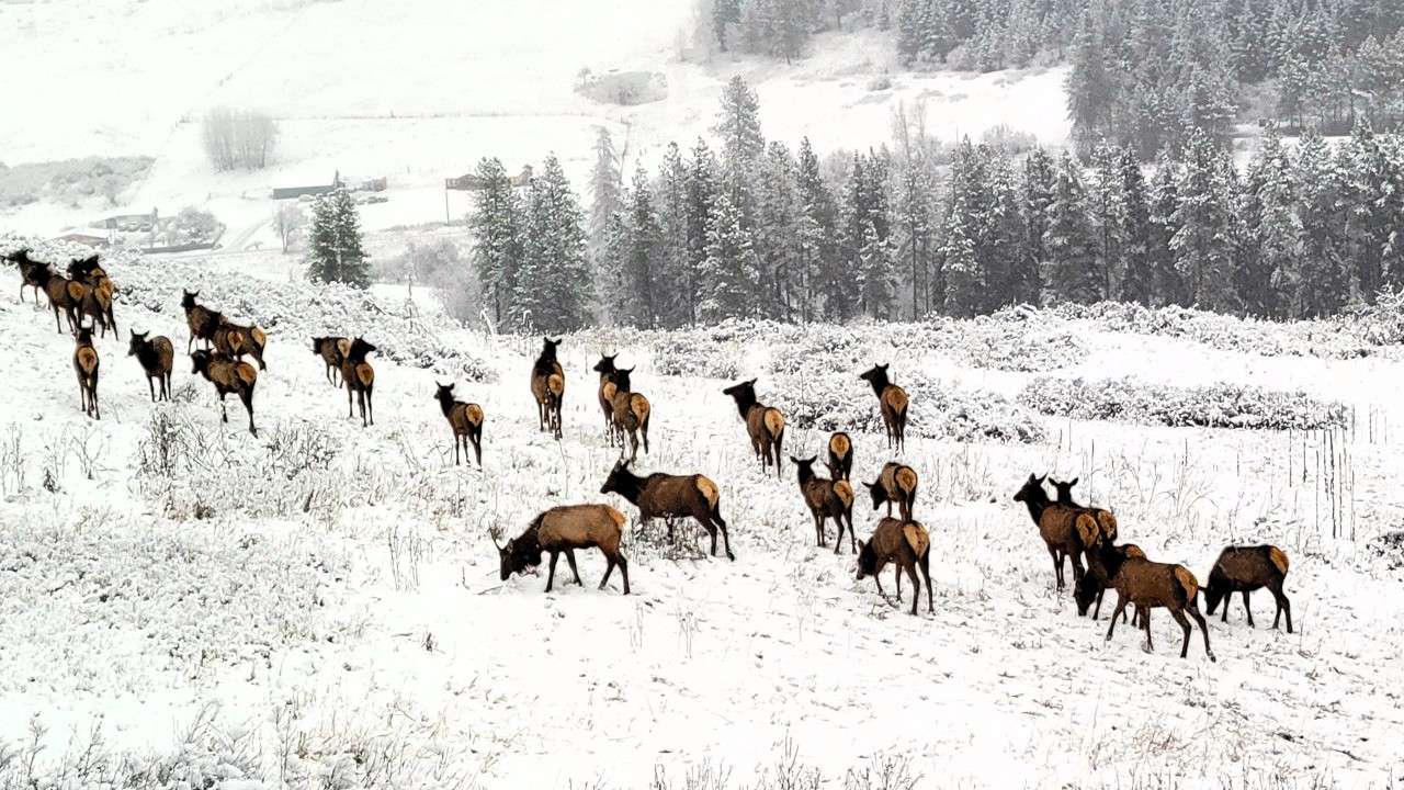 2024 March morning on Bonanza Hill_1280x720
