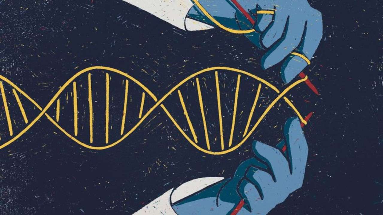 ITfmationDNA_1280x720