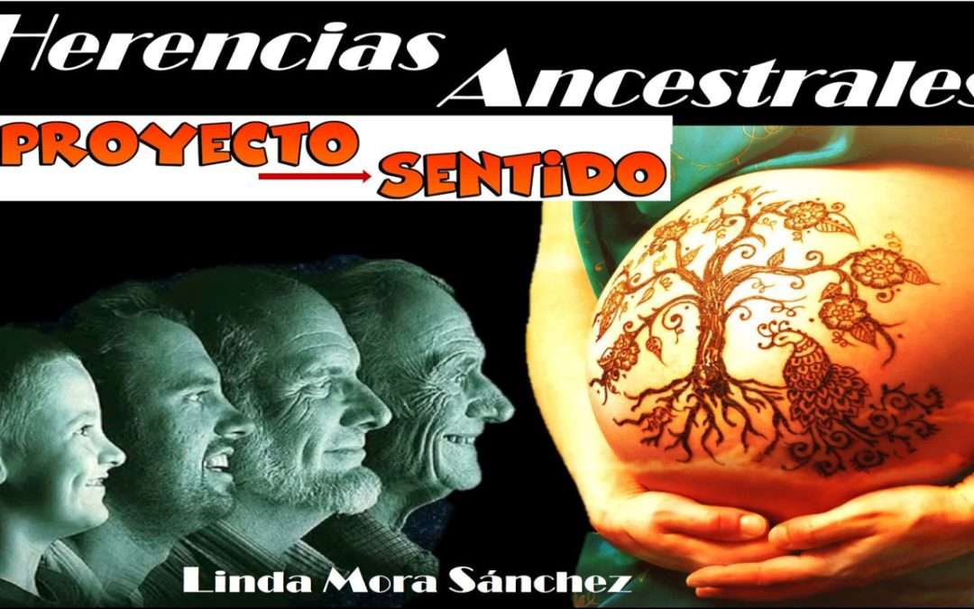 Linda Mora Sanchez : Workshop