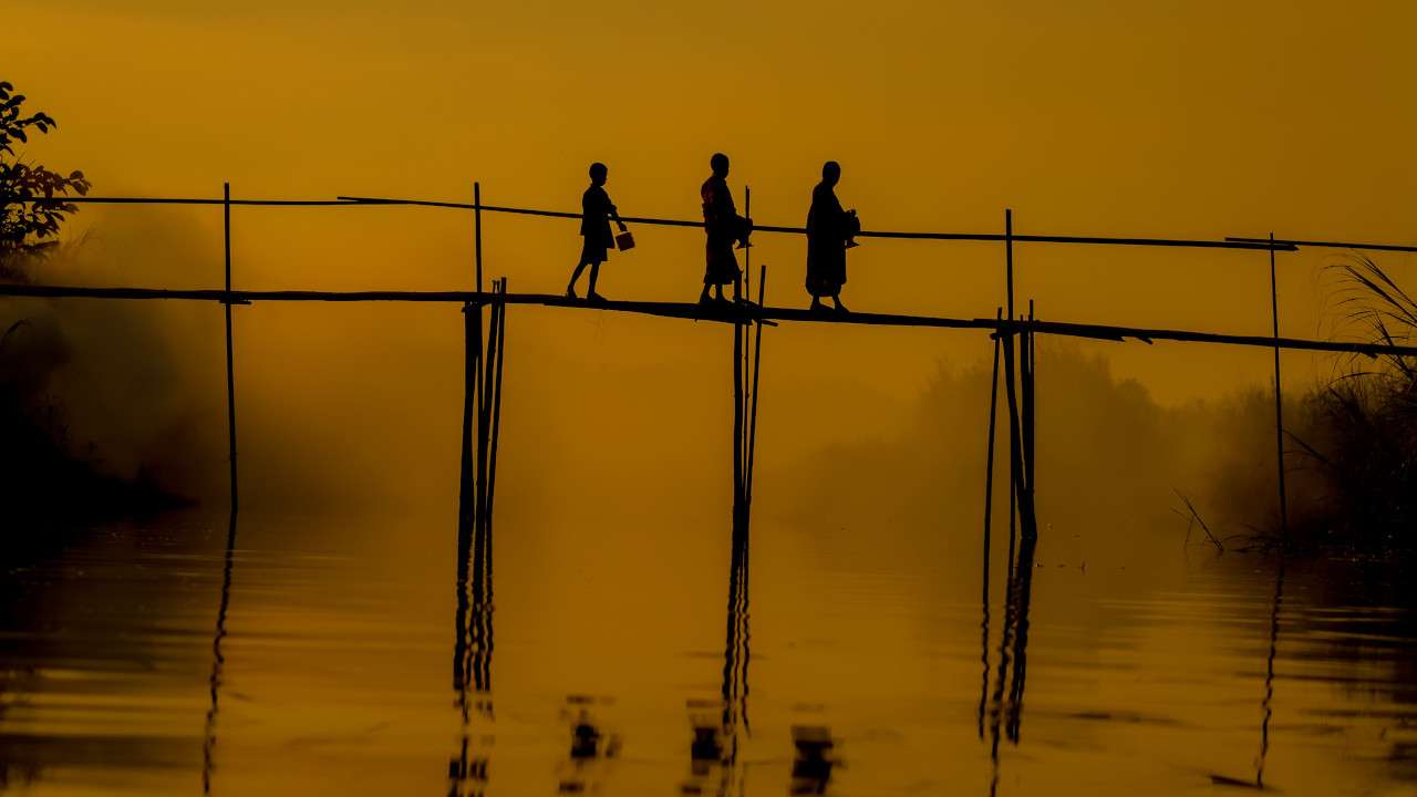 transgenerational_1280x720